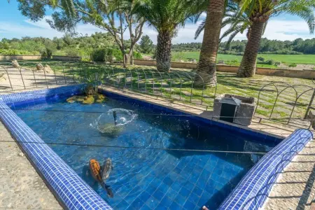 Villa Hortella : piscine privée et terrain à Sant Joan : photo 36