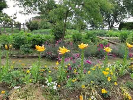 Maison de campagne spacieuse avec grand jardin, animaux acceptés - Photo 31