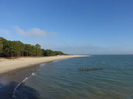 Les Deux Mûriers, Maison 6 personnes à Île d'Oléron - Photo 24