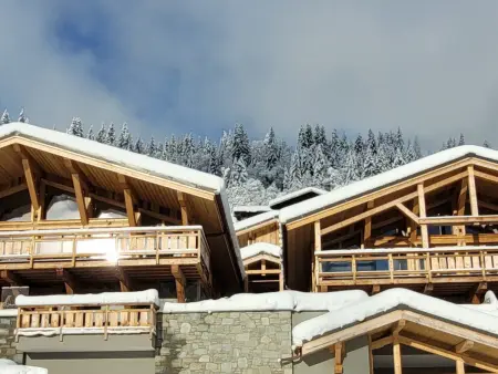 Chalet spacieux 5* avec jacuzzi et sauna, animaux acceptés - Photo 17