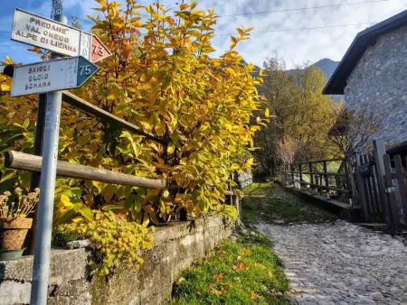 La Cascina, Maison 4 personnes à Lierna - Photo 41