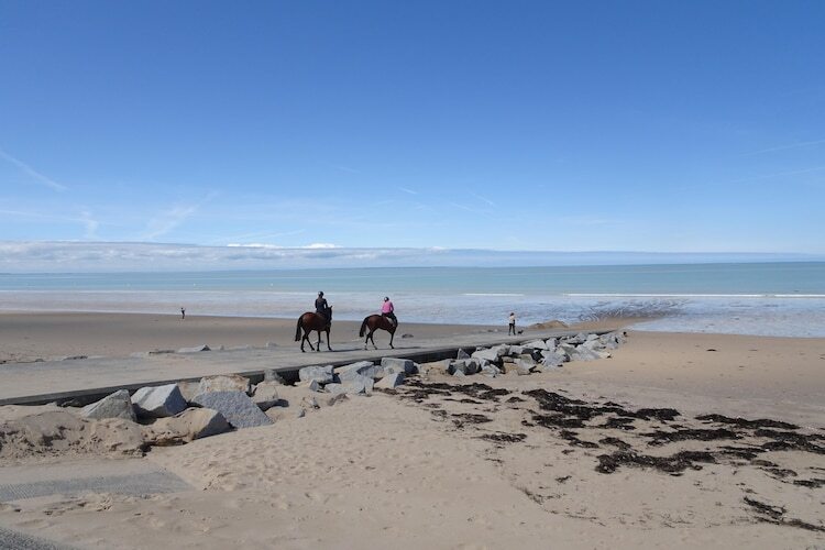 Maison 8 pers., 200m plage à Saint-Pair-sur-Mer - Photo 22
