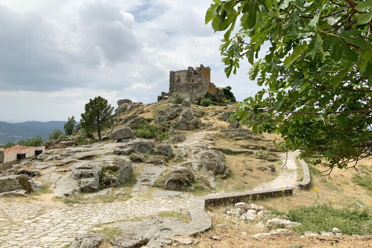 Casa Rodrigo, maison de village aux pieds de la Sierra de Gata - Photo 34