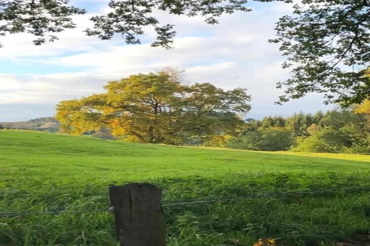 Les Hirondelles : maison 8 personnes en forêt ardennaise - Photo 28