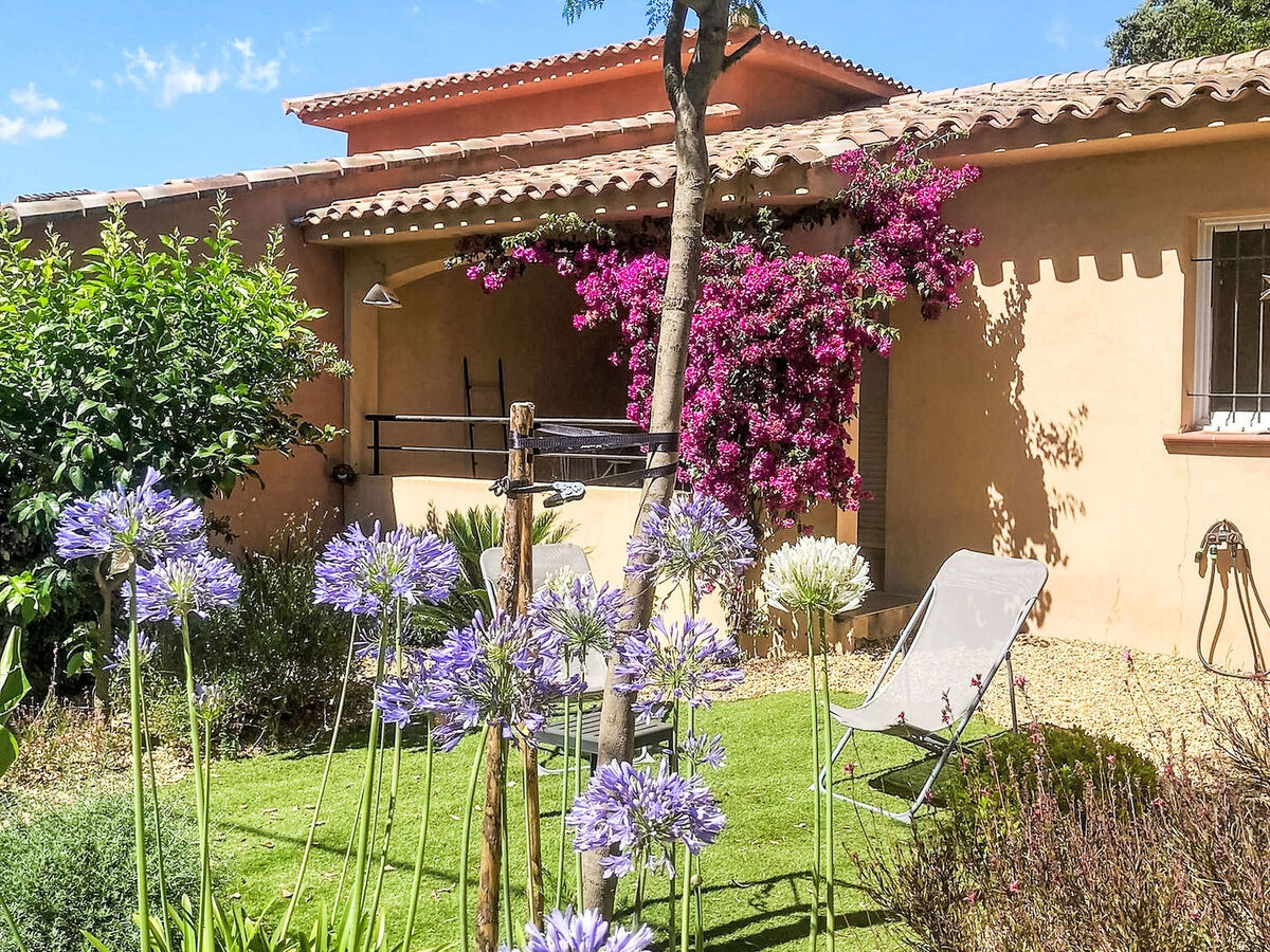 Casa Brigitte, maison 2 chambres à Pinarellu - Photo 15