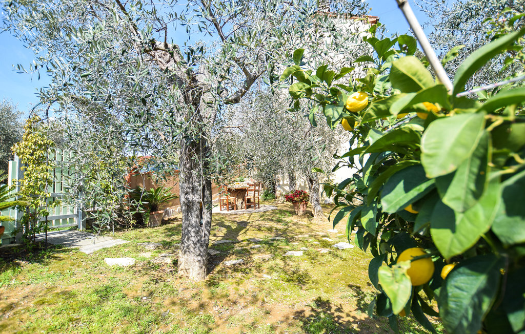 Maison 5 personnes à Massarosa - Photo 13