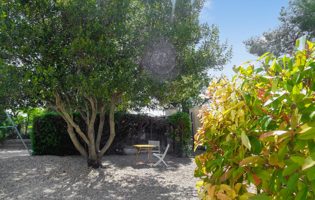 Studio en ancienne ferme à Rasteau, 32 m² avec jardin - Photo 2