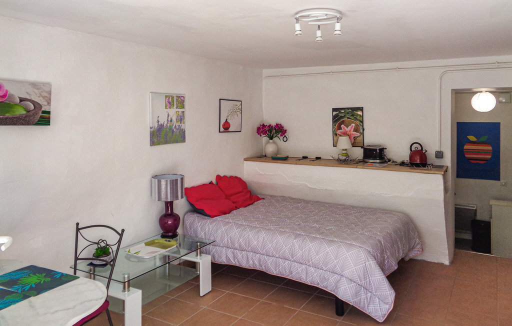 Studio en ancienne ferme à Rasteau, 32 m² avec jardin - Photo 4