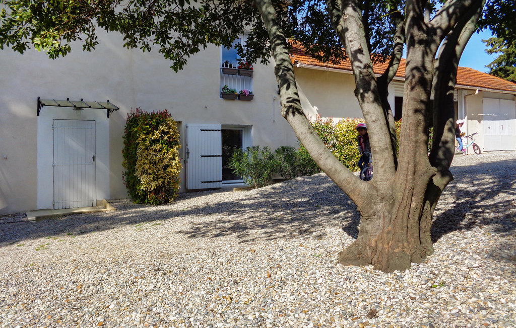 Studio en ancienne ferme à Rasteau, 32 m² avec jardin - Photo 6