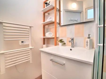 Maison Le Riveau à Dolus-d'Oléron, jardin et terrasse 25 m² : photo 15