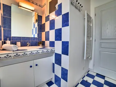 Maison Le Riveau à Dolus-d'Oléron, jardin et terrasse 25 m² : photo 17