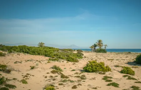 Maison 5 personnes à Santa Pola - Photo 23