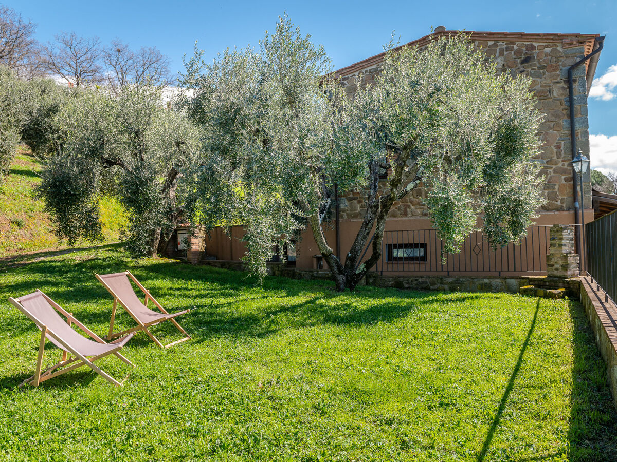 Enea, maison rustique avec vue mer à Scansano - Photo 1