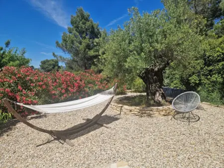 La Grande Pinède : maison avec piscine chauffée à Faucon : photo 13