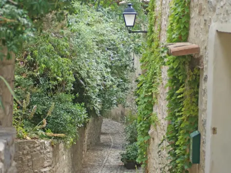 La Grande Pinède : maison avec piscine chauffée à Faucon : photo 56