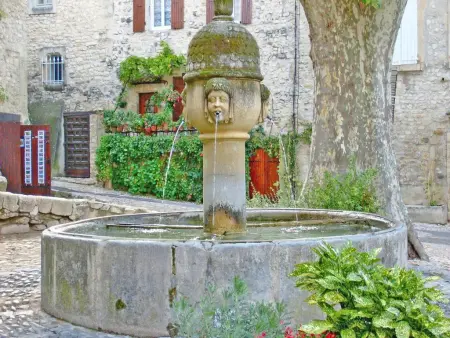 La Grande Pinède : maison avec piscine chauffée à Faucon : photo 58