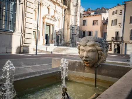 La Grande Pinède : maison avec piscine chauffée à Faucon : photo 60