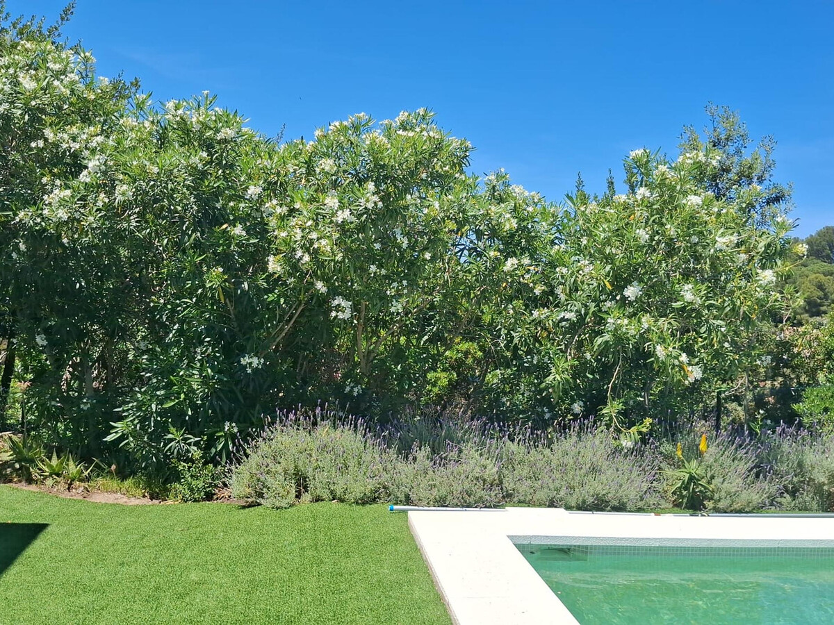 Villa Begur 6 personnes, piscine privée et terrasses - Photo 27