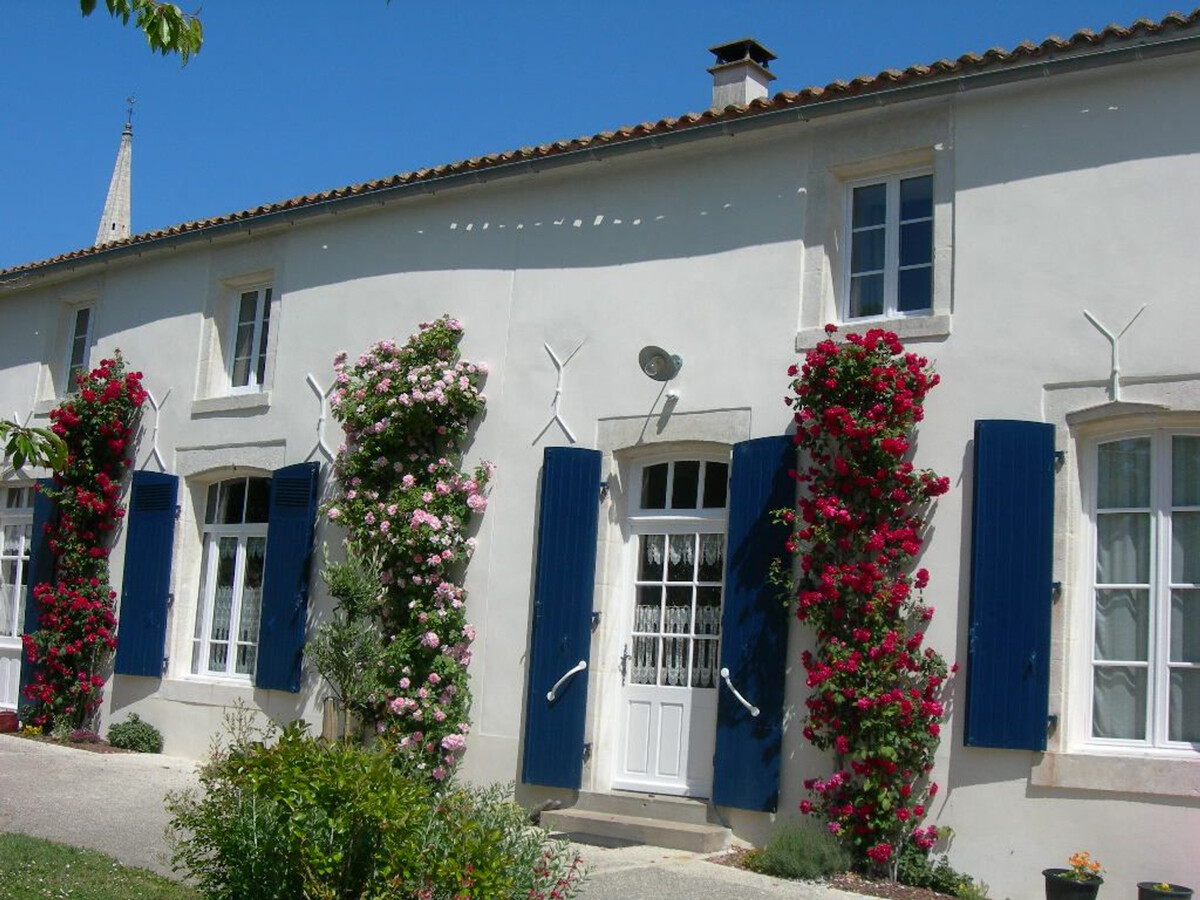 Gîte au Marais Poitevin avec barques, canoës et pédalo - Photo 24
