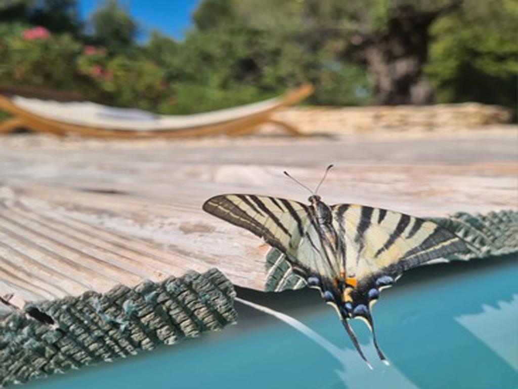 La Pinede – Maison avec piscine chauffée près de Faucon, Vaucluse - Photo 23