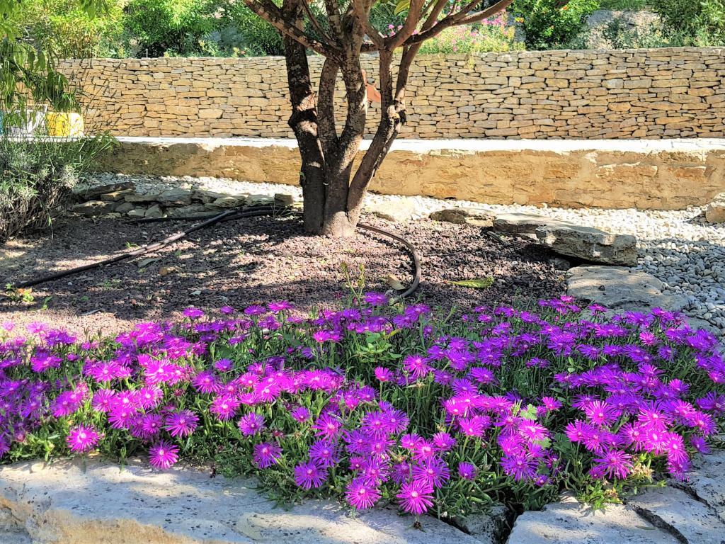 La Pinede – Maison avec piscine chauffée près de Faucon, Vaucluse - Photo 24