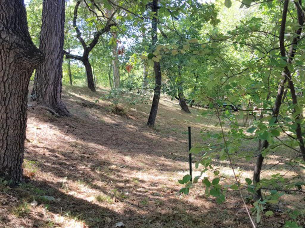 La Pinede – Maison avec piscine chauffée près de Faucon, Vaucluse - Photo 40