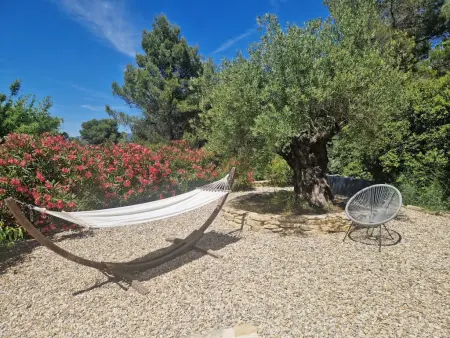 La Petite Pinède, maison avec piscine chauffée à Faucon : photo 10
