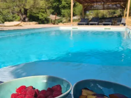 La Petite Pinède, maison avec piscine chauffée à Faucon : photo 37