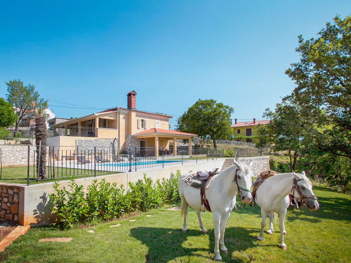Villa Palachina Antishova – Maison 7 pers. piscine privée - Photo 20