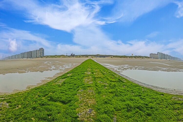 Westenwind – Maison 5 pers. aux dunes de Middelkerke - Photo 33