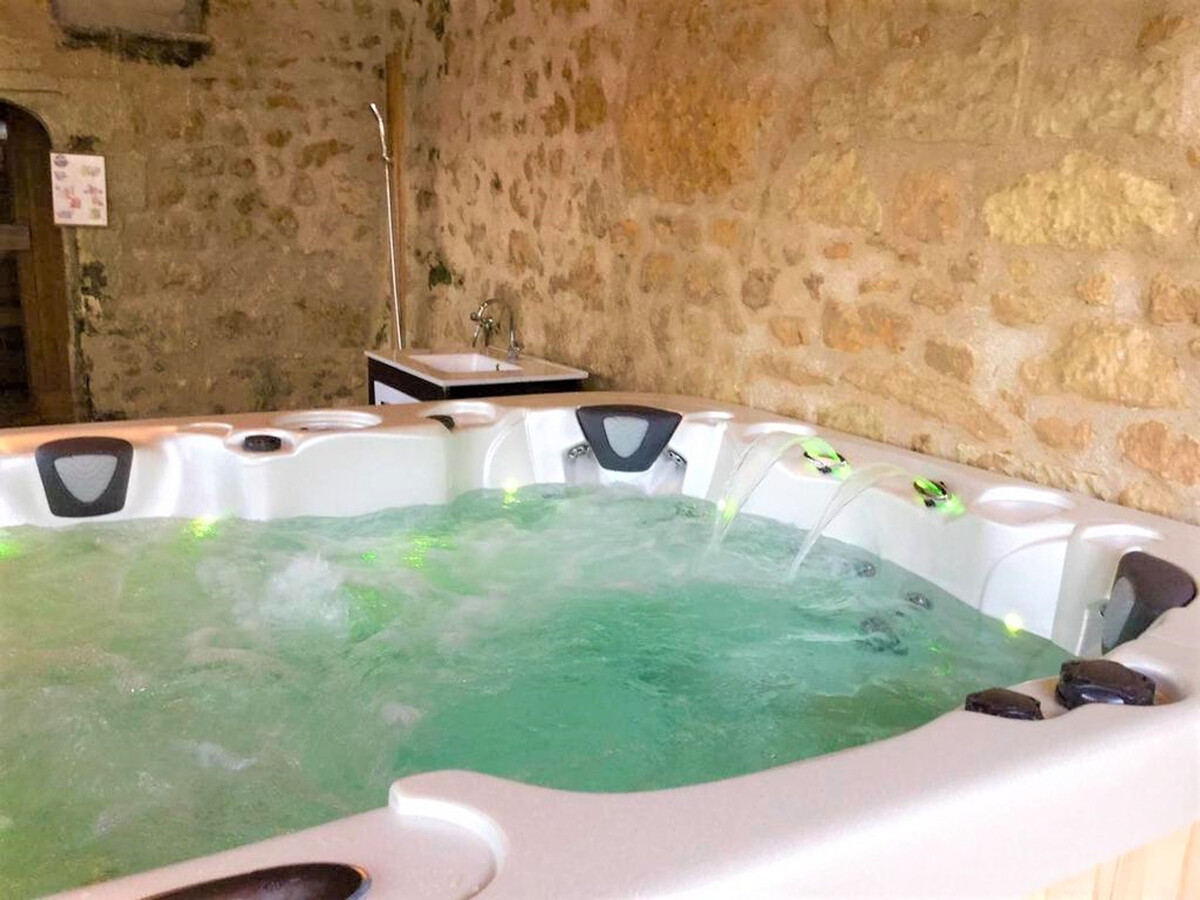 Manoir XVIIe à Langeais : 10 pers., sauna & jacuzzi - Photo 1