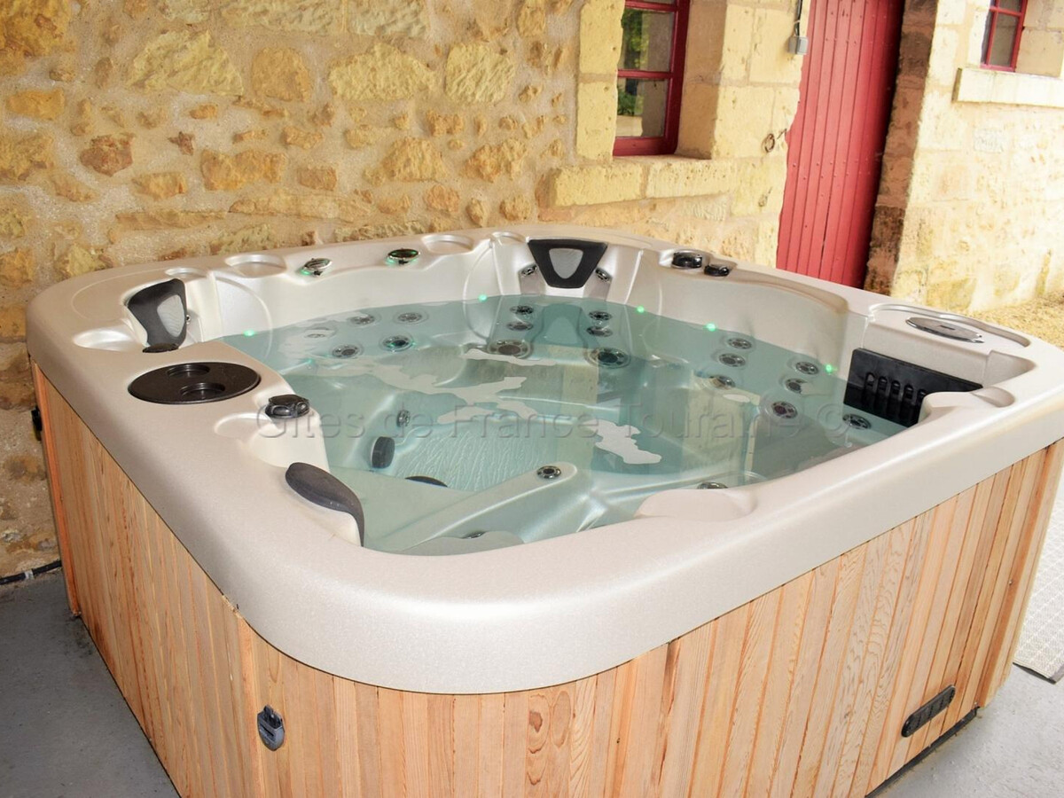 Manoir XVIIe à Langeais : 10 pers., sauna & jacuzzi - Photo 2