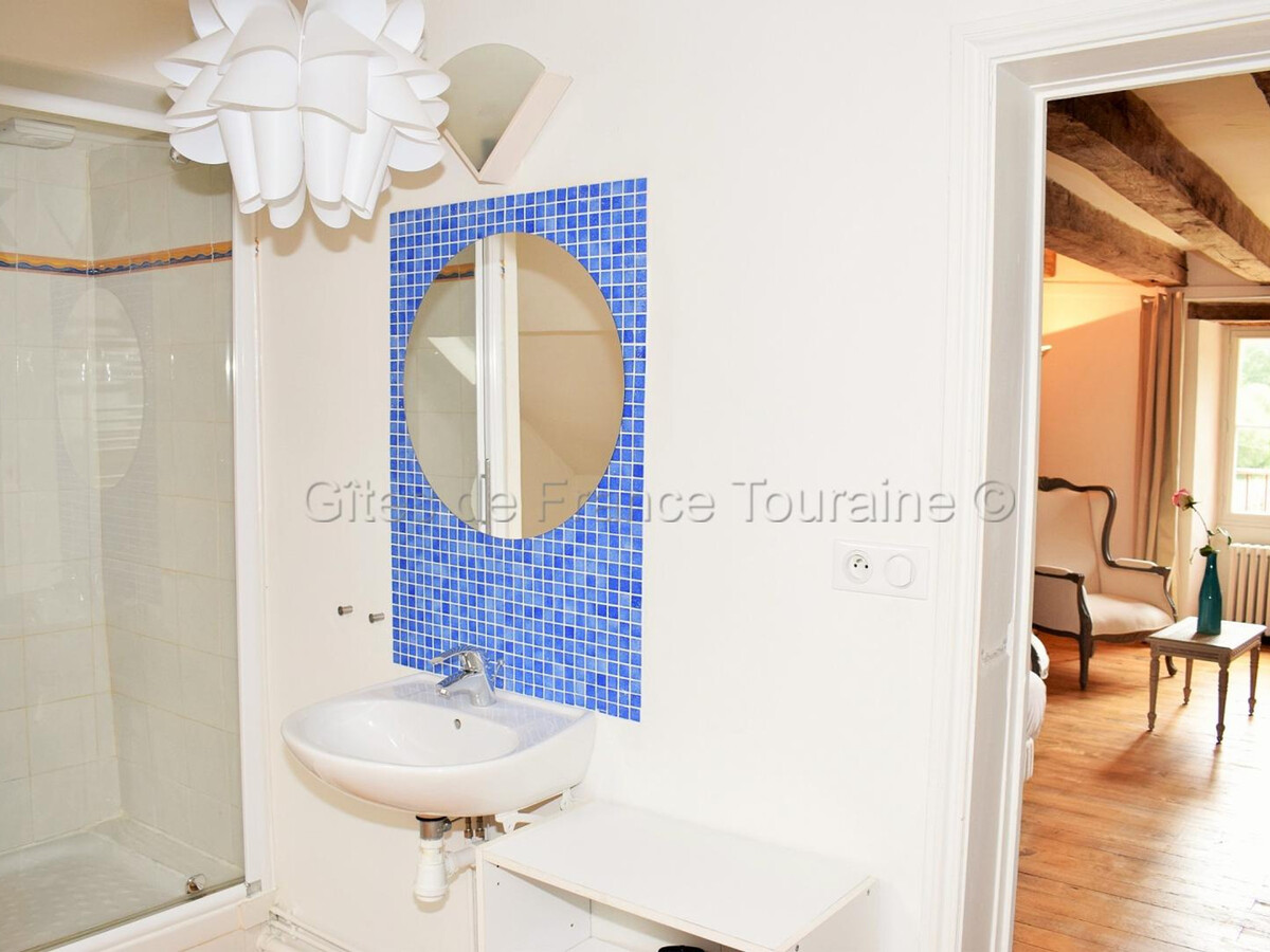 Manoir XVIIe à Langeais : 10 pers., sauna & jacuzzi - Photo 21