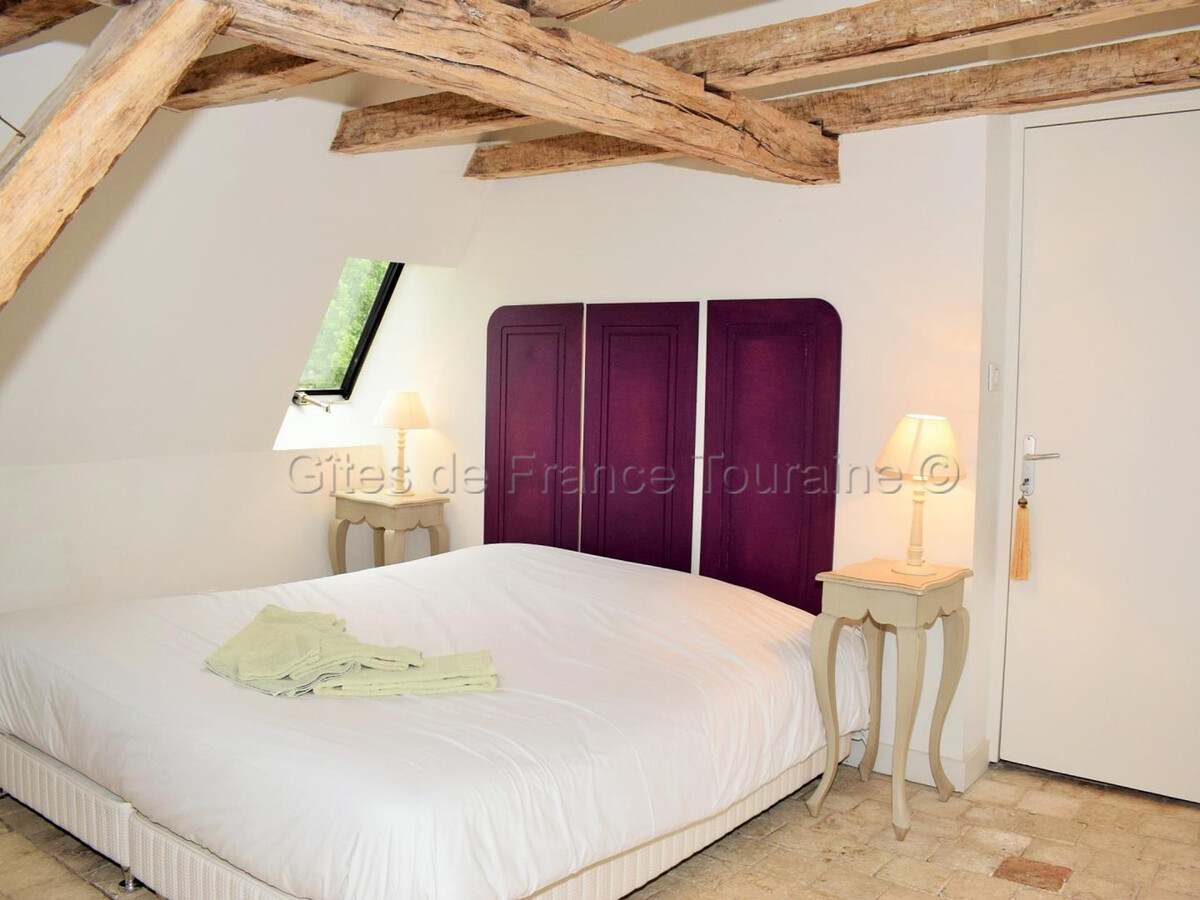 Manoir XVIIe à Langeais : 10 pers., sauna & jacuzzi - Photo 27