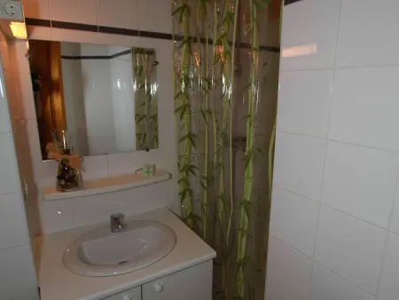 Chalet 10 pers. Plagne Soleil, animaux admis, vue piste : photo 11