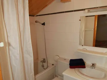 Chalet 10 pers. Plagne Soleil, animaux admis, vue piste : photo 12