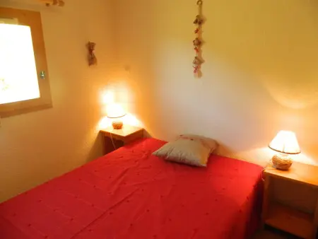 Chalet 10 pers. Plagne Soleil, animaux admis, vue piste : photo 13