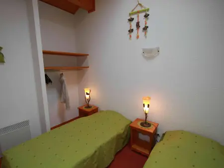 Chalet 10 pers. Plagne Soleil, animaux admis, vue piste : photo 14