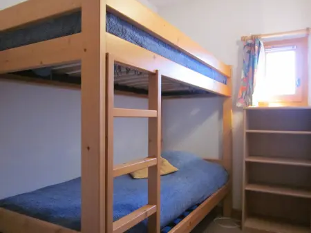 Chalet 10 pers. Plagne Soleil, animaux admis, vue piste : photo 15