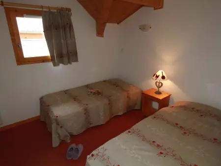 Chalet 10 pers. Plagne Soleil, animaux admis, vue piste : photo 16