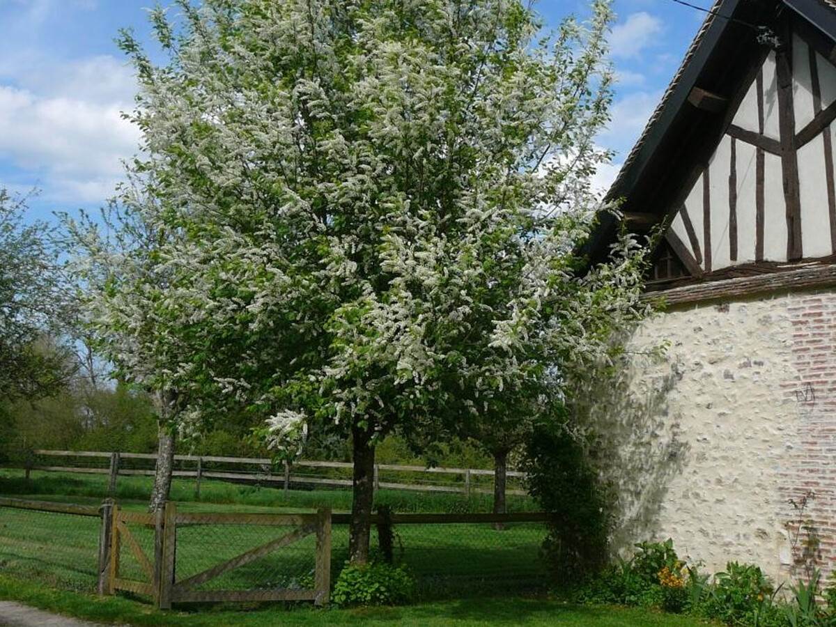 Gîte XVIIIe siècle à Marmouillé, vue sur vallée - Photo 28