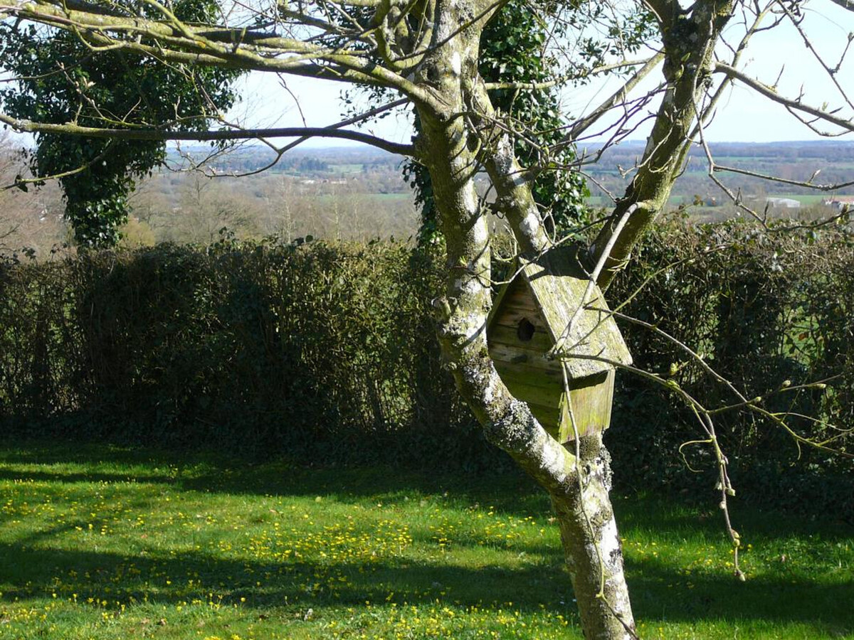 Gîte XVIIIe siècle à Marmouillé, vue sur vallée - Photo 31