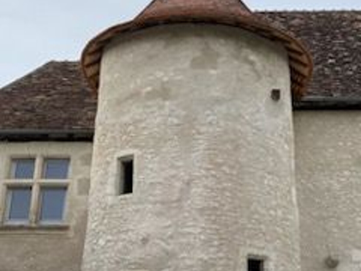 Gîte en pierre du 11e siècle avec étang de pêche privé - Photo 20