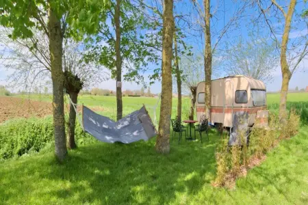 Maison 10 pers. avec wellness privé à Haringe : photo 31