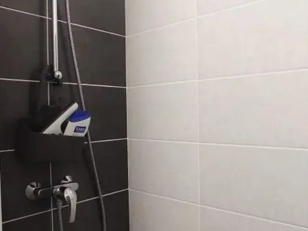 Le Clos Bambou – Gîte 46 m² en Picardie Verte : photo 19