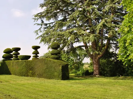 Maison de caractère avec jardin, climatisation et vélos près d'Amboise - Photo 1