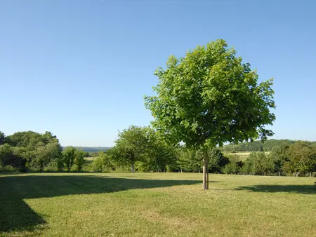 Maison de caractère avec jardin, climatisation et vélos près d'Amboise - Photo 2