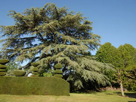 Maison de caractère avec jardin, climatisation et vélos près d'Amboise - Photo 18