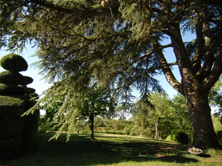 Maison de caractère avec jardin, climatisation et vélos près d'Amboise - Photo 19