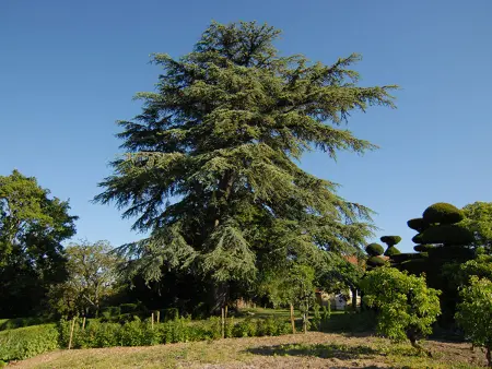 Maison de caractère avec jardin, climatisation et vélos près d'Amboise - Photo 20